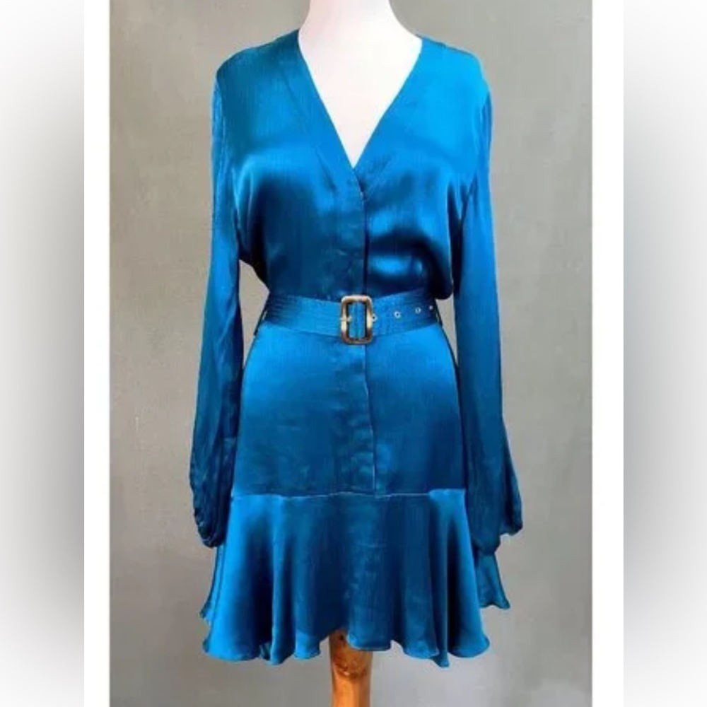 NWT ‼️ KARINA GRIMALDI “RUTH” DRESS